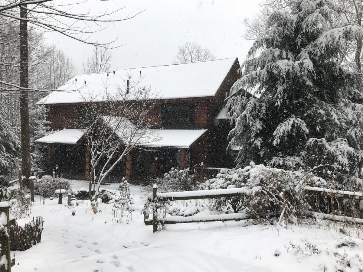 Lazy Bear Lodge Valle Crucis Bagian luar foto